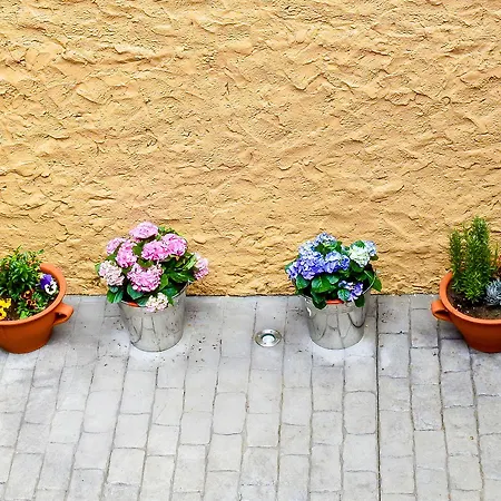 El Encanto Vandrerhjem *